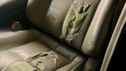 Nissan Maxima Luxury sediste