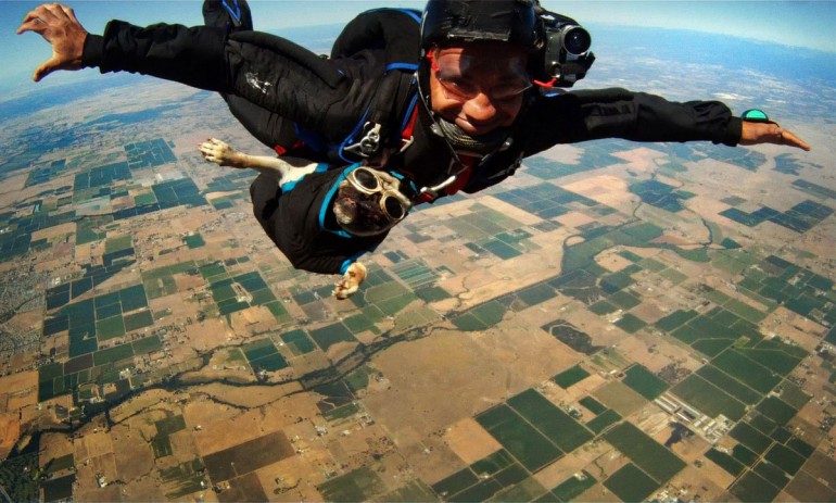 mops_leti_triodriverblog_15